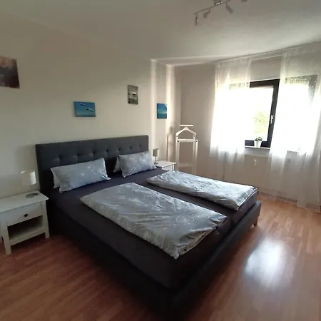 Bodensee Rotkehlchen 23 * 腓特烈港