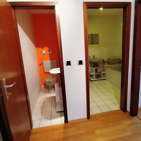 Bodensee Rotkehlchen 23