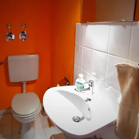 Bodensee Rotkehlchen 23 *