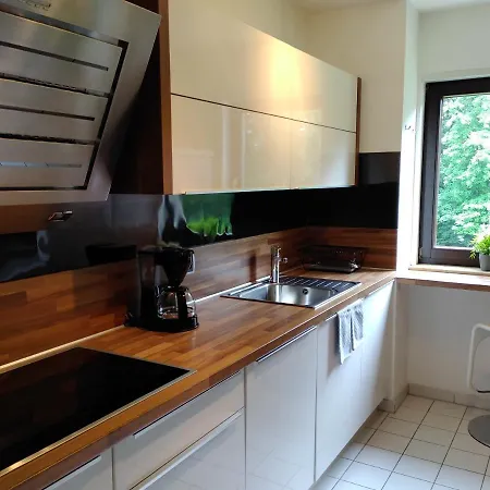 Bodensee Rotkehlchen 23