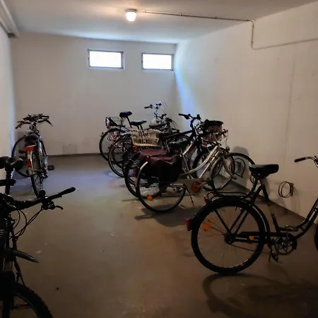 Bodensee Rotkehlchen 23 * 腓特烈港