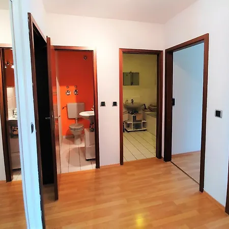 Bodensee Rotkehlchen 23 * Friedrichshafen