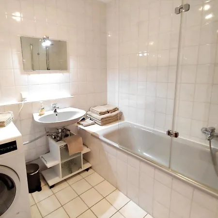 Bodensee Rotkehlchen 23 * 腓特烈港