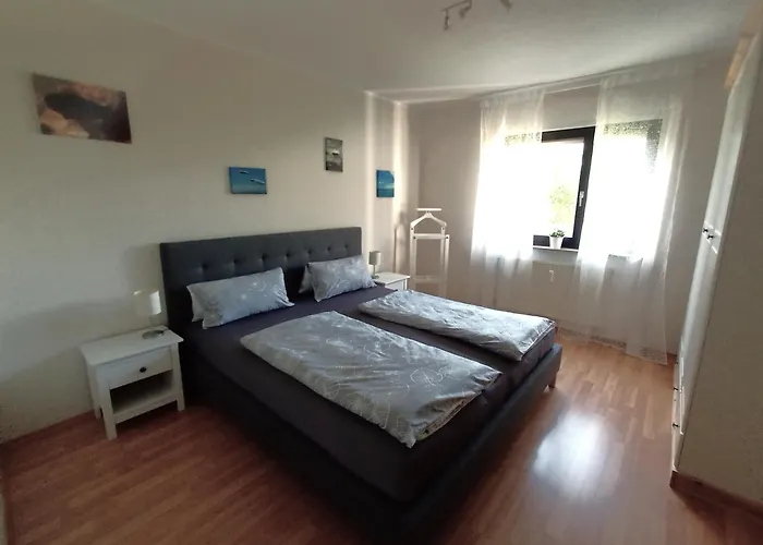 Bodensee Rotkehlchen 23 * Friedrichshafen