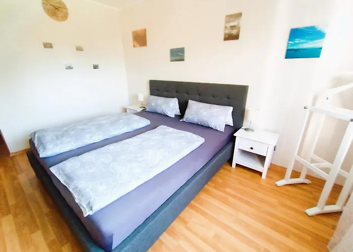 Bodensee Rotkehlchen 23