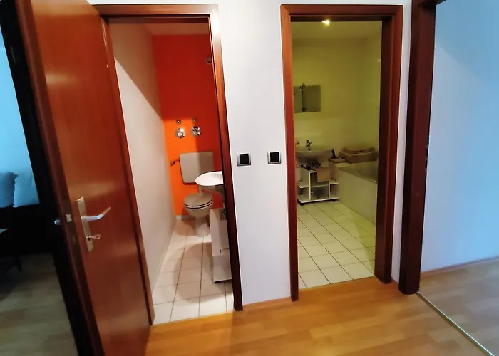 Bodensee Rotkehlchen 23