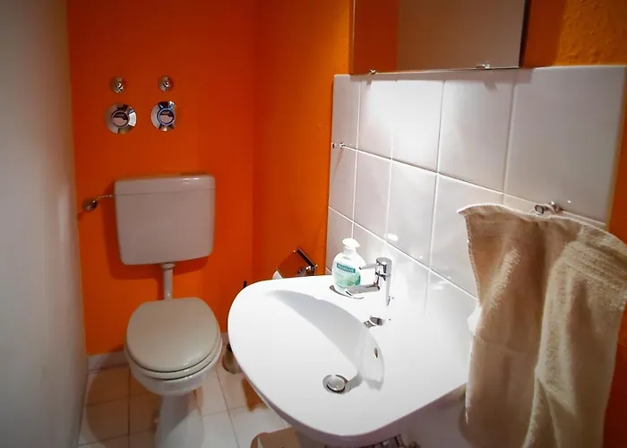 Bodensee Rotkehlchen 23 *