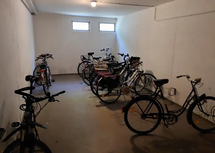 Bodensee Rotkehlchen 23 * Friedrichshafen