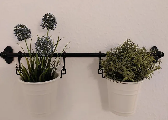 Bodensee Rotkehlchen 23 Apartmán