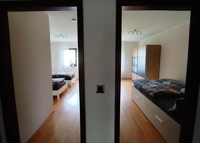 Bodensee Rotkehlchen 23 *