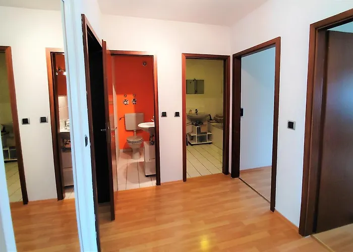 Bodensee Rotkehlchen 23 * Friedrichshafen