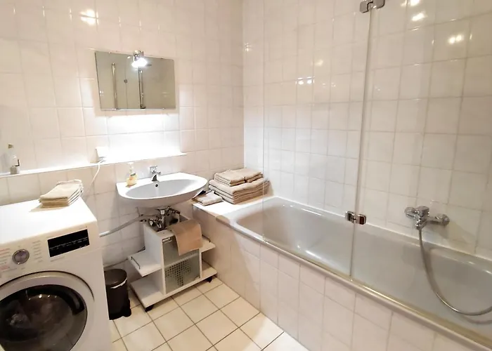 Bodensee Rotkehlchen 23 * Friedrichshafen