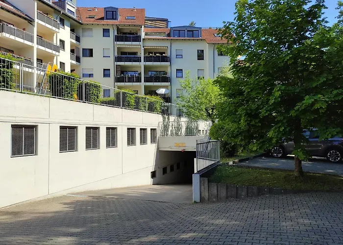 Bodensee Rotkehlchen 23 Friedrichshafen